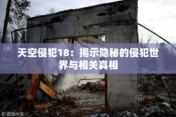 天空侵犯18：揭示隐秘的侵犯世界与相关真相
