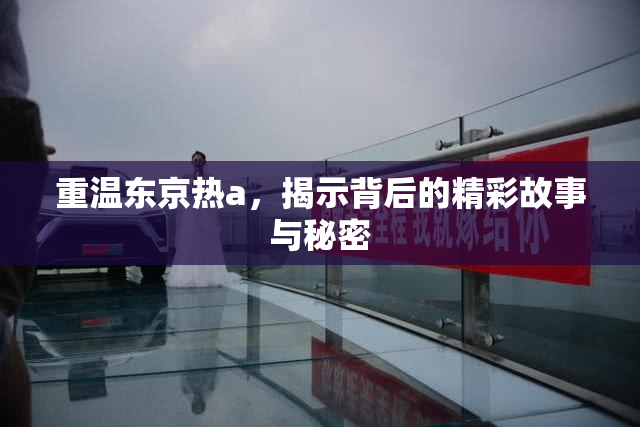 重温东京热a，揭示背后的精彩故事与秘密