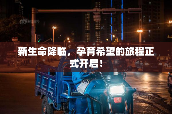 新生命降临，孕育希望的旅程正式开启！