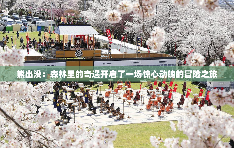 熊出没：森林里的奇遇开启了一场惊心动魄的冒险之旅