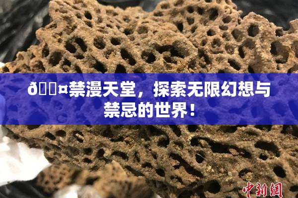 🖤禁漫天堂，探索无限幻想与禁忌的世界！