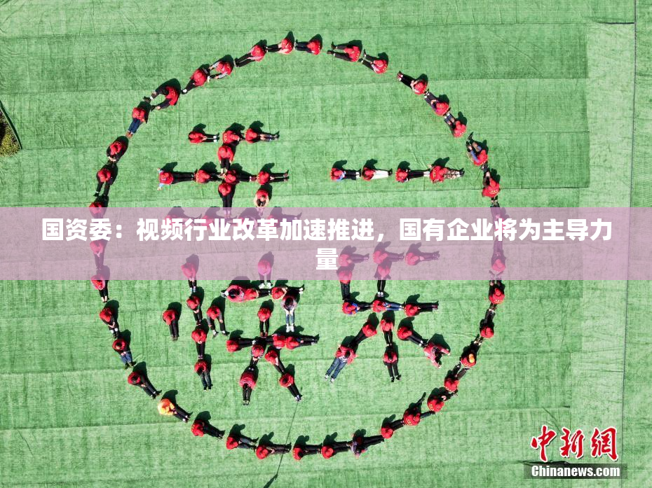 国资委：视频行业改革加速推进，国有企业将为主导力量