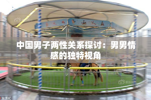 中国男子两性关系探讨：男男情感的独特视角