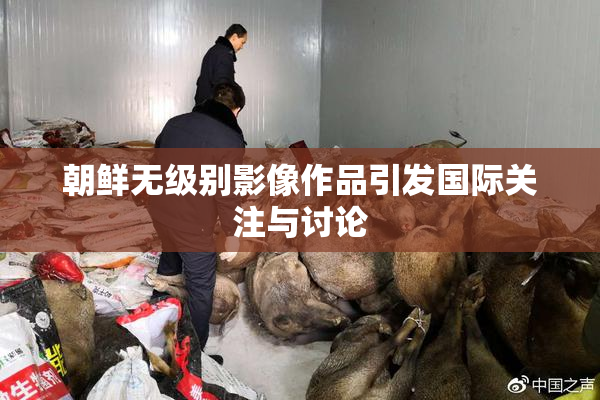 朝鲜无级别影像作品引发国际关注与讨论