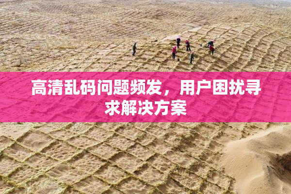高清乱码问题频发，用户困扰寻求解决方案