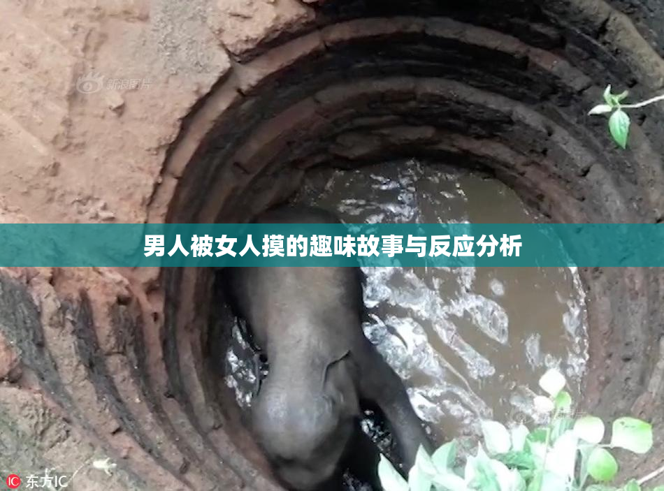 男人被女人摸的趣味故事与反应分析