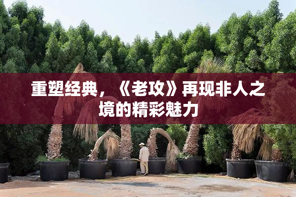 重塑经典，《老攻》再现非人之境的精彩魅力