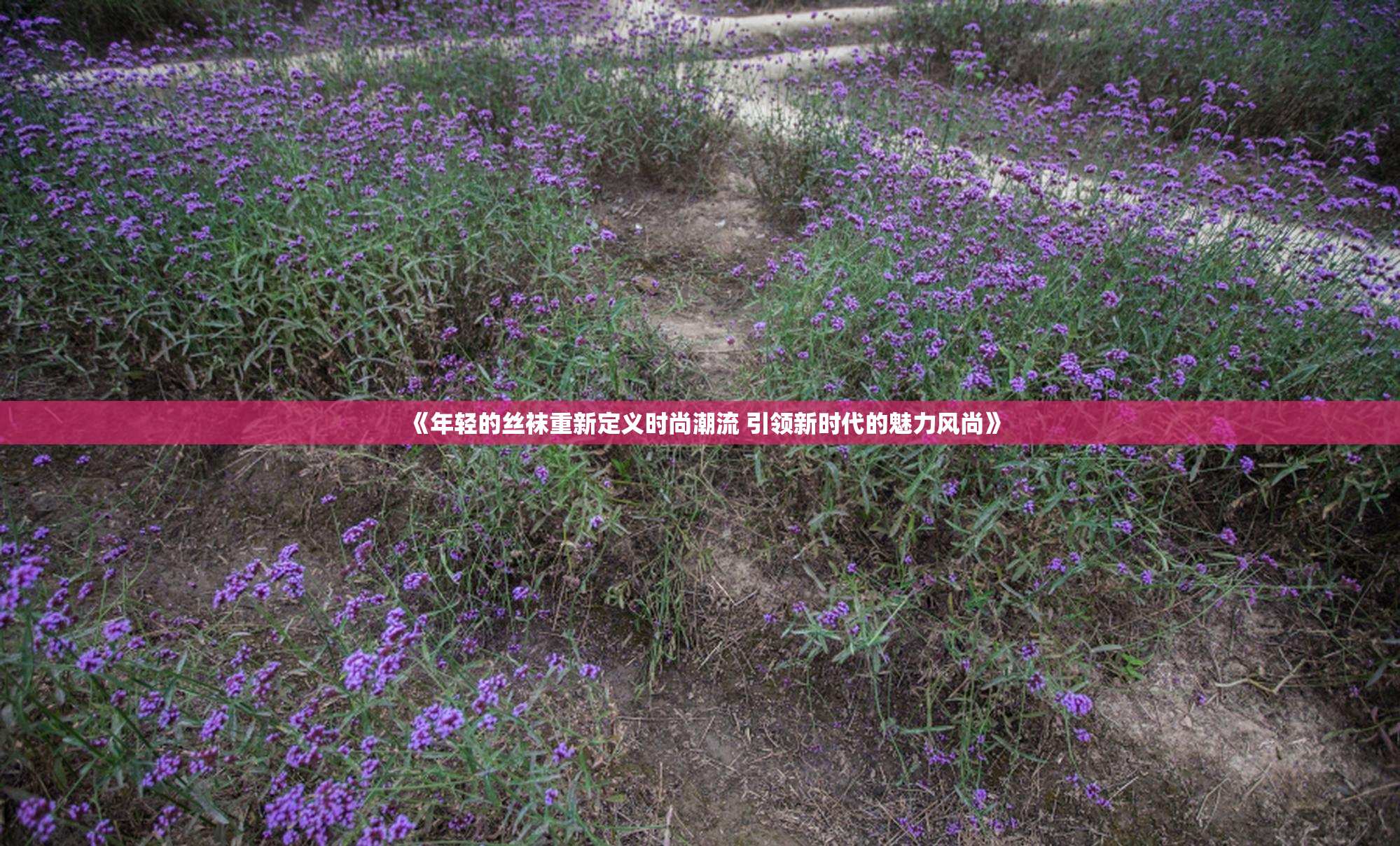 《年轻的丝袜重新定义时尚潮流 引领新时代的魅力风尚》