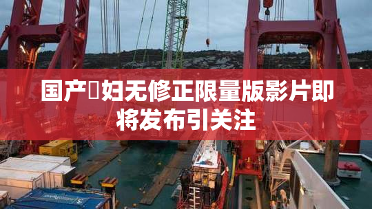 国产婬妇无修正限量版影片即将发布引关注