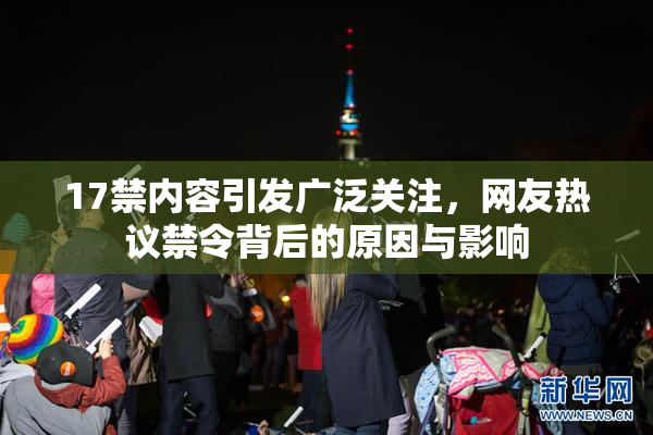 17禁内容引发广泛关注，网友热议禁令背后的原因与影响