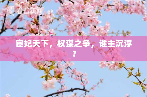 宦妃天下，权谋之争，谁主沉浮？