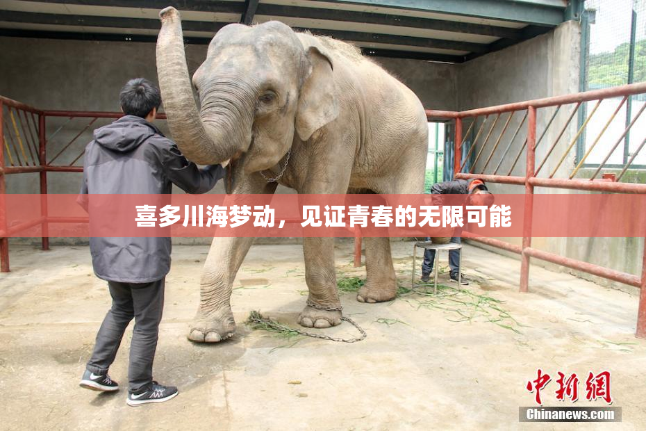 喜多川海梦动，见证青春的无限可能