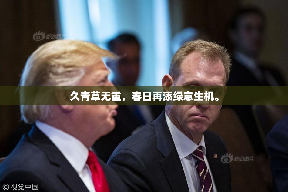 久青草无重，春日再添绿意生机。