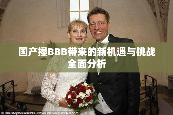 国产搡BBB带来的新机遇与挑战全面分析