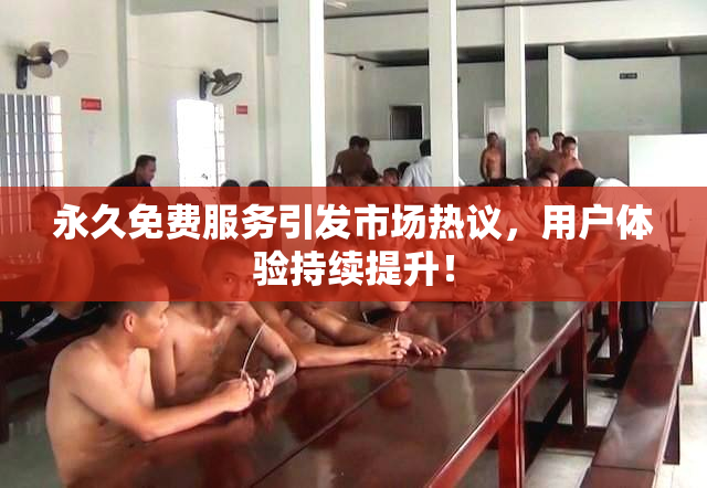 永久免费服务引发市场热议，用户体验持续提升！