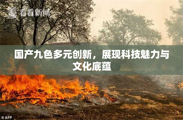 国产九色多元创新，展现科技魅力与文化底蕴