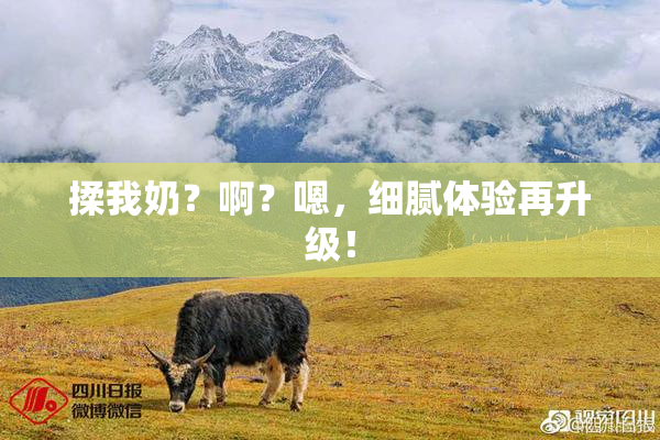 揉我奶？啊？嗯，细腻体验再升级！