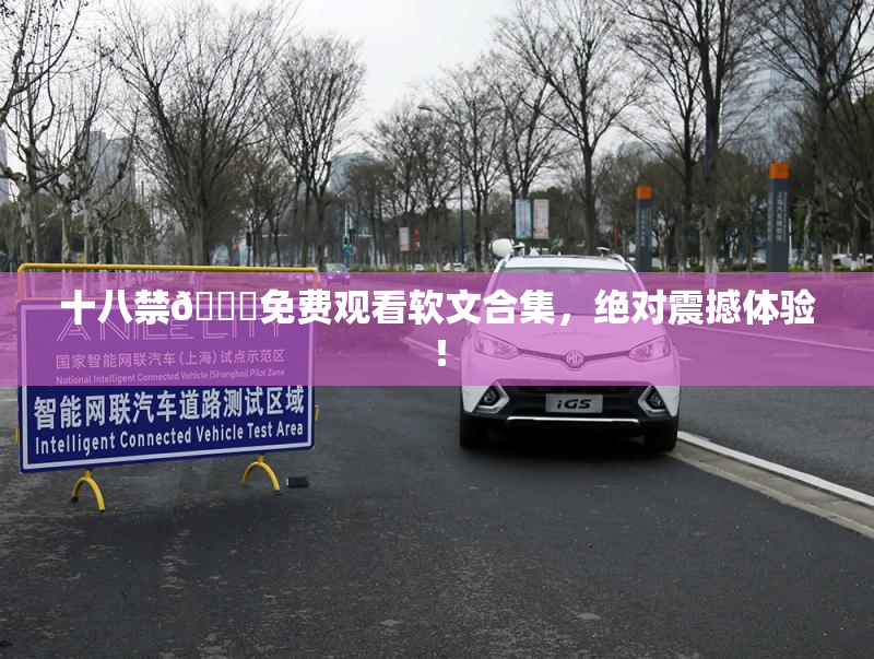 十八禁🔞免费观看软文合集，绝对震撼体验！