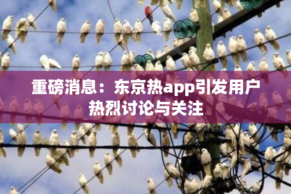 重磅消息：东京热app引发用户热烈讨论与关注