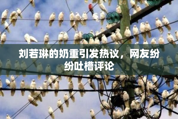 刘若琳的奶重引发热议，网友纷纷吐槽评论