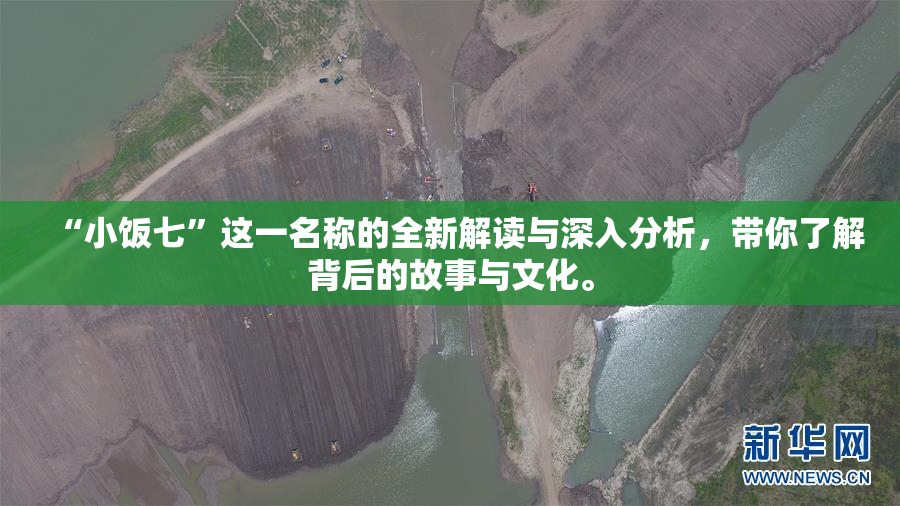 “小饭七”这一名称的全新解读与深入分析，带你了解背后的故事与文化。