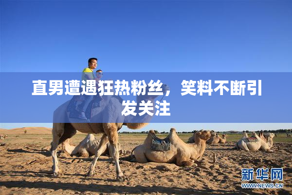 直男遭遇狂热粉丝，笑料不断引发关注