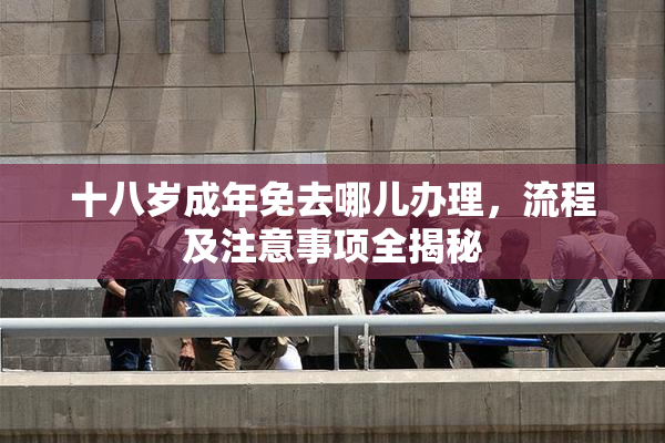 十八岁成年免去哪儿办理，流程及注意事项全揭秘