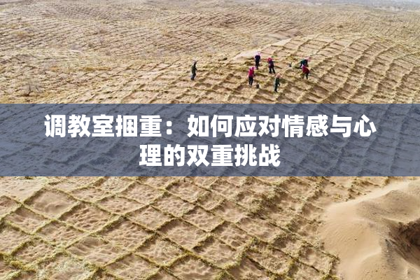 调教室捆重：如何应对情感与心理的双重挑战