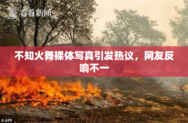 不知火舞裸体写真引发热议，网友反响不一