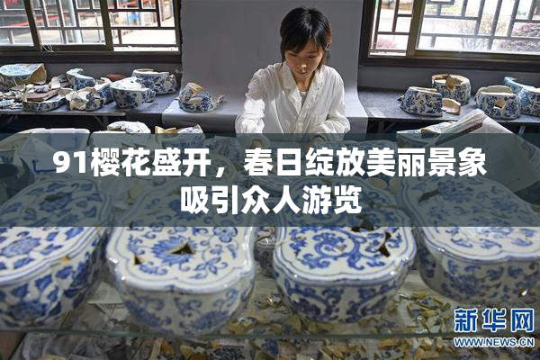 91樱花盛开，春日绽放美丽景象吸引众人游览