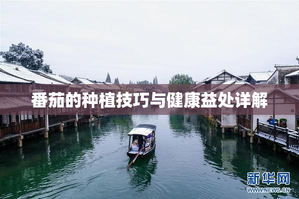 番茄的种植技巧与健康益处详解