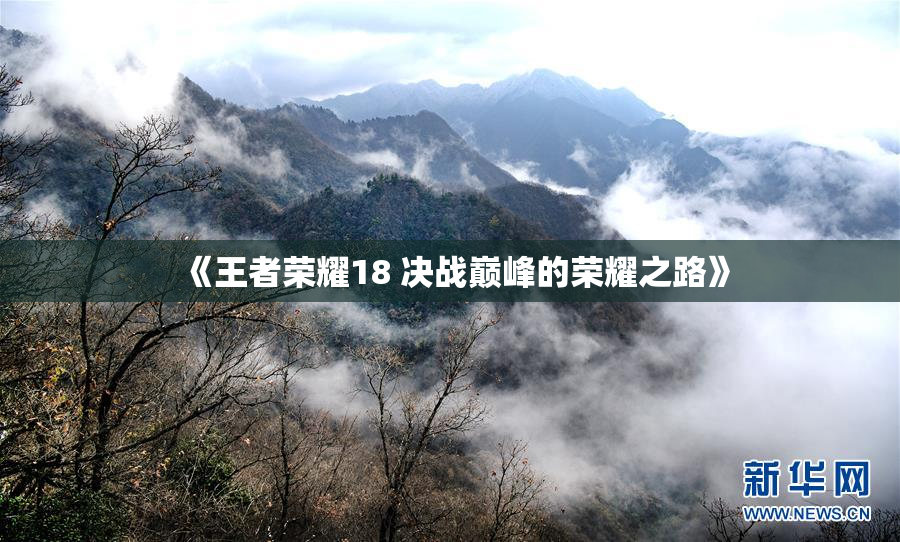 《王者荣耀18 决战巅峰的荣耀之路》