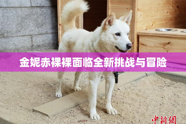 金妮赤裸裸面临全新挑战与冒险