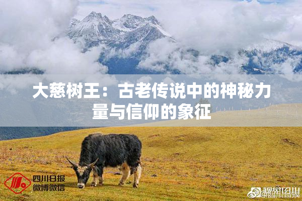 大慈树王：古老传说中的神秘力量与信仰的象征
