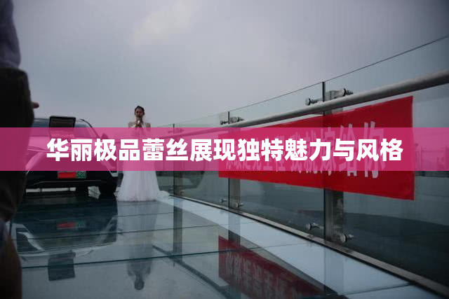 华丽极品蕾丝展现独特魅力与风格