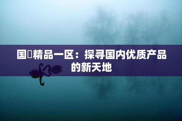 国產精品一区：探寻国内优质产品的新天地