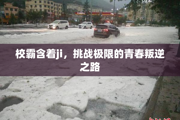 校霸含着ji，挑战极限的青春叛逆之路