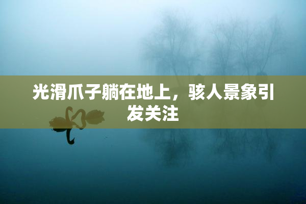光滑爪子躺在地上，骇人景象引发关注