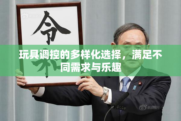 玩具调控的多样化选择，满足不同需求与乐趣