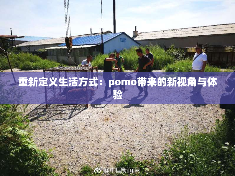 重新定义生活方式：pomo带来的新视角与体验
