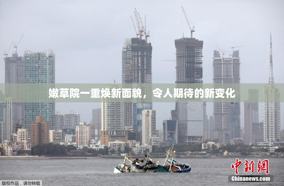 嫩草院一重焕新面貌，令人期待的新变化