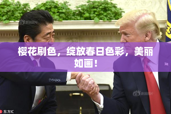 樱花刷色，绽放春日色彩，美丽如画！