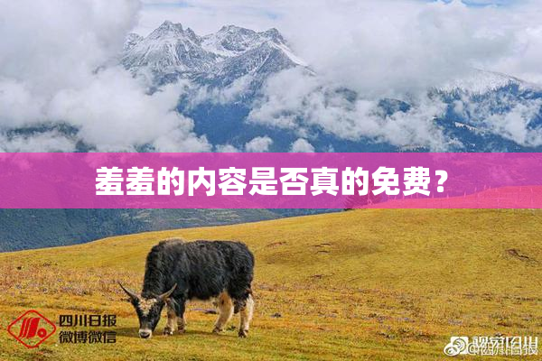 羞羞的内容是否真的免费？