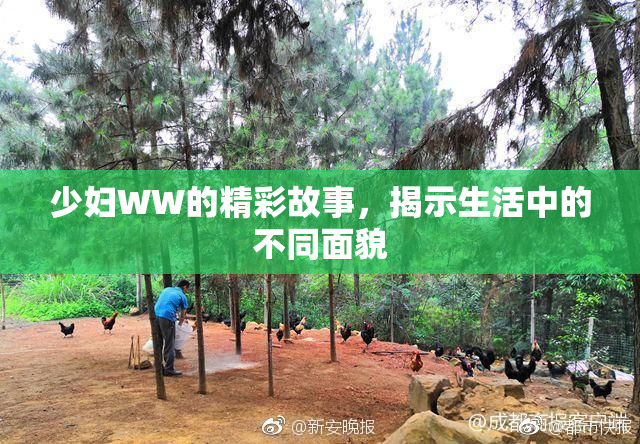 少妇WW的精彩故事，揭示生活中的不同面貌