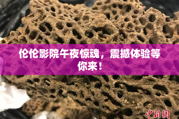 伦伦影院午夜惊魂，震撼体验等你来！