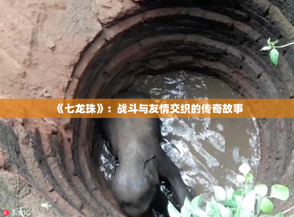 《七龙珠》：战斗与友情交织的传奇故事