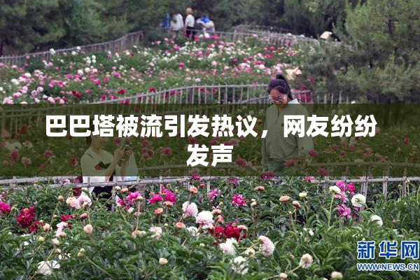 巴巴塔被流引发热议，网友纷纷发声