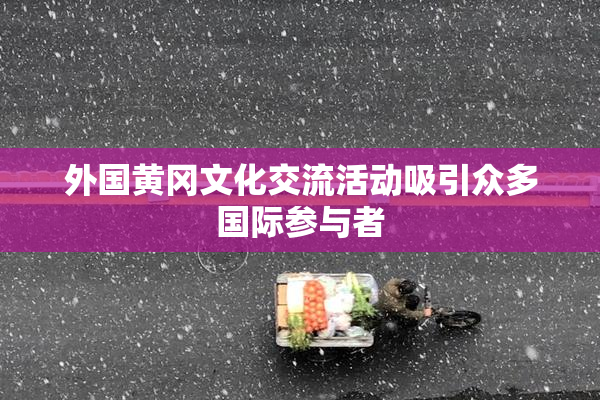 外国黄冈文化交流活动吸引众多国际参与者