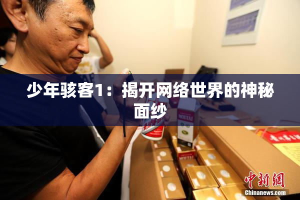 少年骇客1：揭开网络世界的神秘面纱