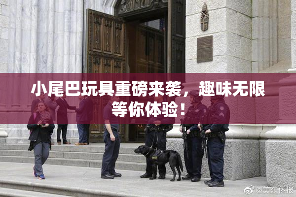 小尾巴玩具重磅来袭，趣味无限等你体验！